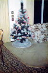 Item Picture