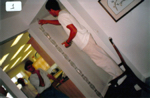 Item Picture