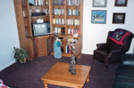 Item Picture