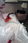 Item Picture